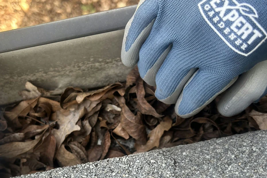 Gutter Cleaning Athens AL